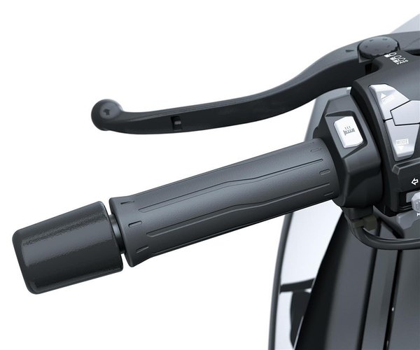 GRIP HEATER (Z H2 / Z H2 SE)