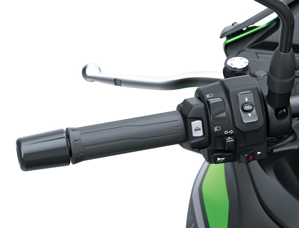 GRIP-HEATER (VERSYS 650)