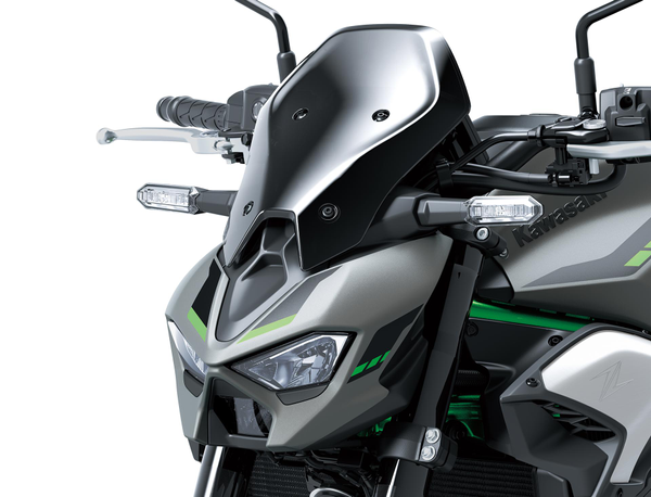 LARGE METER COVER (Z900)