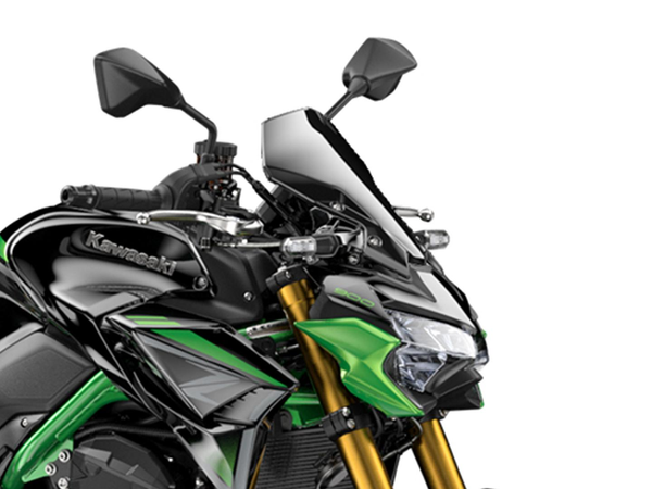 LARGE METER COVER (Z900)
